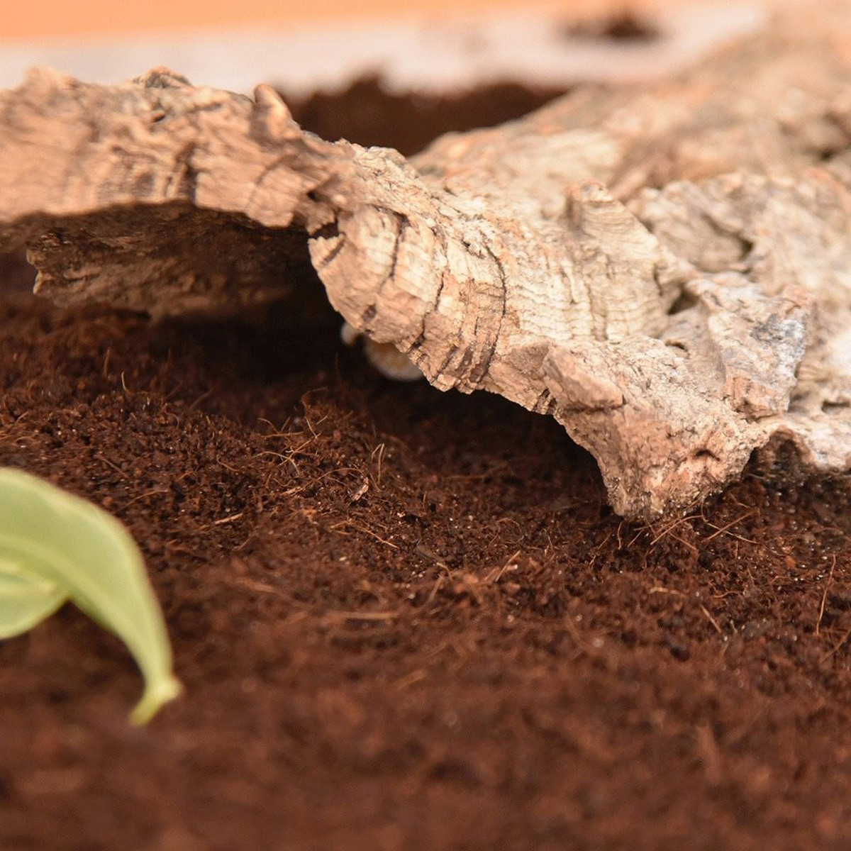 Habistat Coir Mini Block, 350g - Image 8