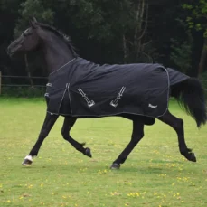 Torrent Lightweight Outdoor Horse Rug