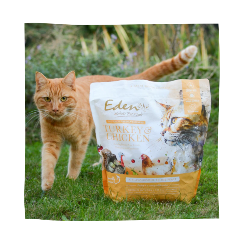 EDEN Feline Feast Turkey & Chicken 1.5KG - Image 3