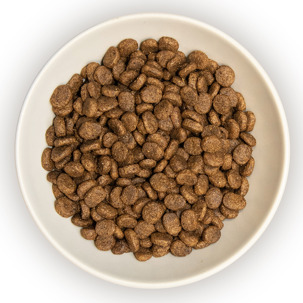 Burns Cat Sensitive Duck & Potato (Grain Free)